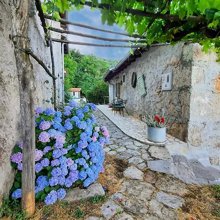 Beautiful In With Wifi Lovran